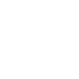 Premium Arabica S16+ Natural