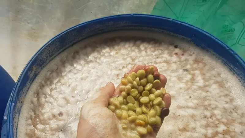 Fermentácia