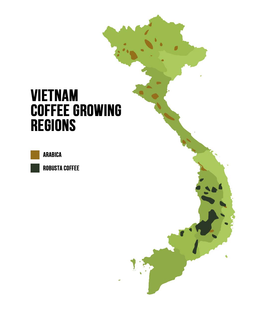 Arabica vs Robusta in Vietnam